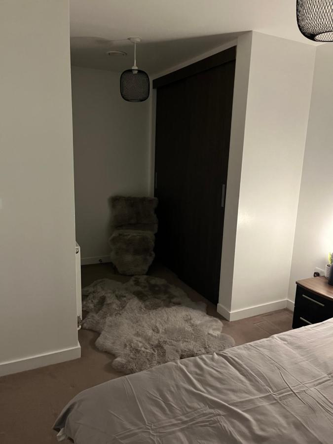 Luxurious Dlr Apartment London Eksteriør billede